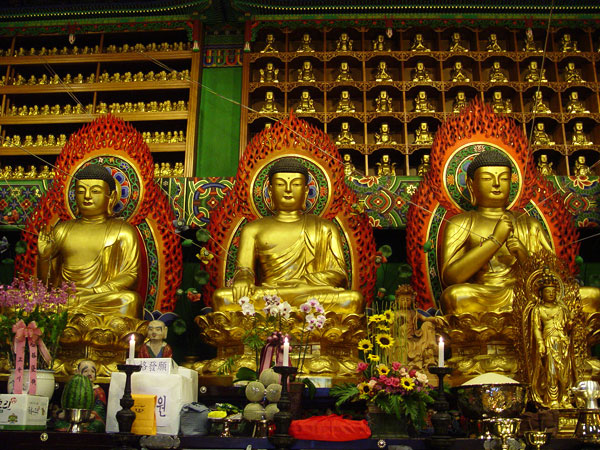 5�� ���� ���ǽ�