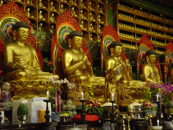 5�� ���� ���Ƚ�