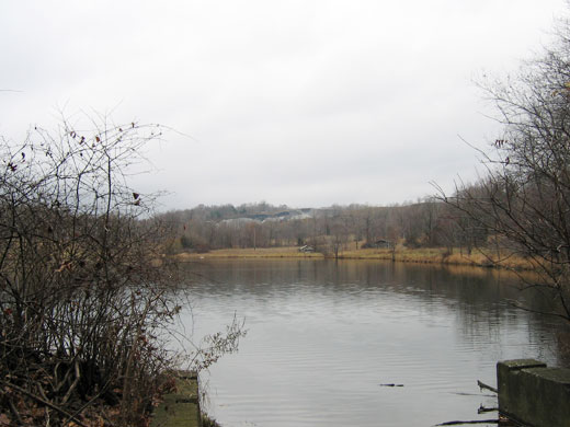 ���� ������ �湮��