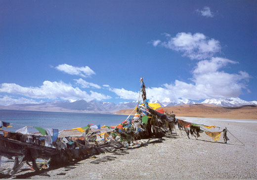 �ƴ��� Ƽ��