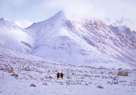 ���̻� Ƽ��