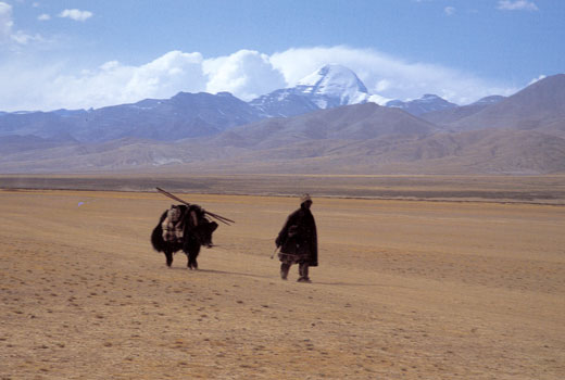 ���̻� Ƽ��