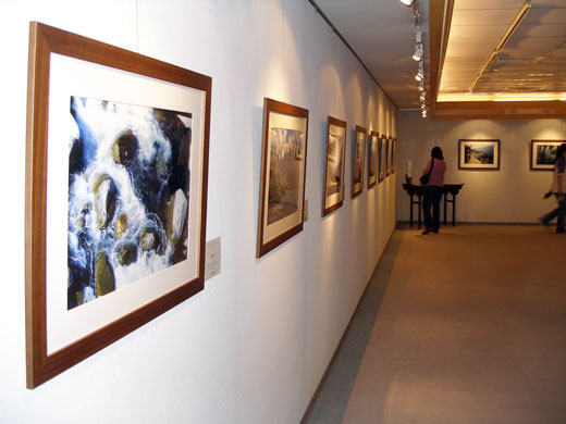 ���콺�� ���� �븸 ����ȸ