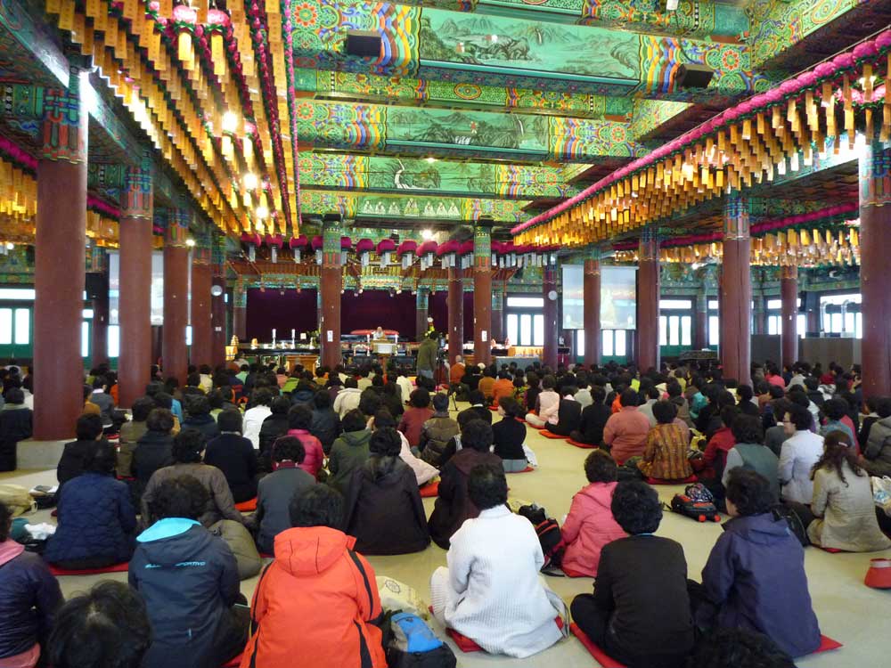 2009�� �ų��Ϸ� �� �뵵�� ��������