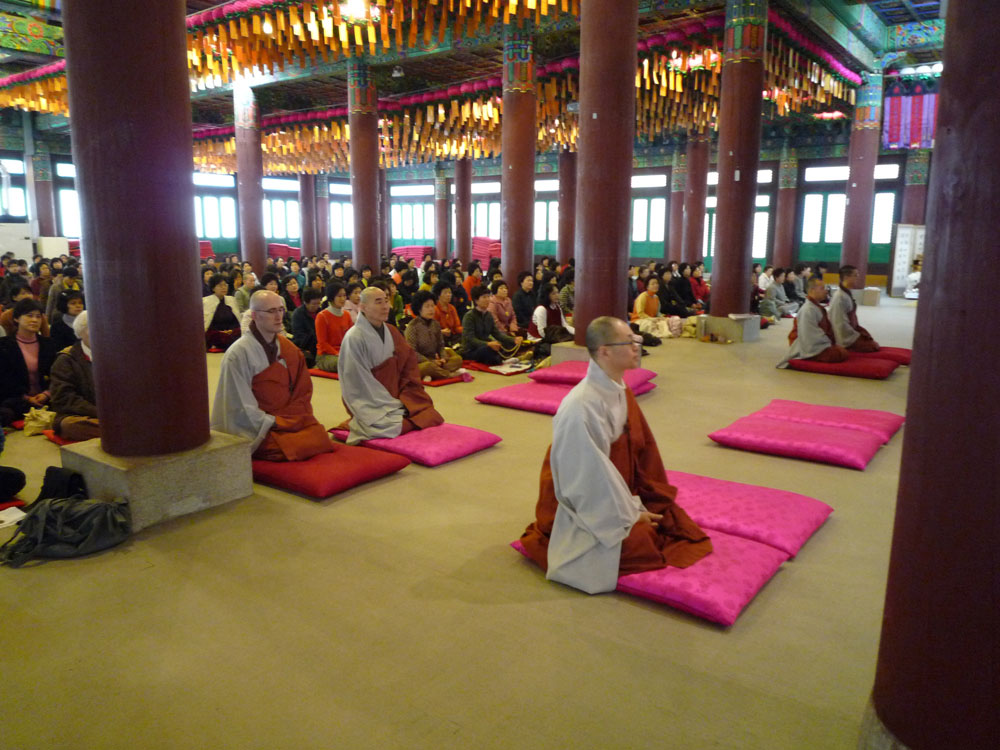 2009�� �ų��Ϸ� �� �뵵�� ��������