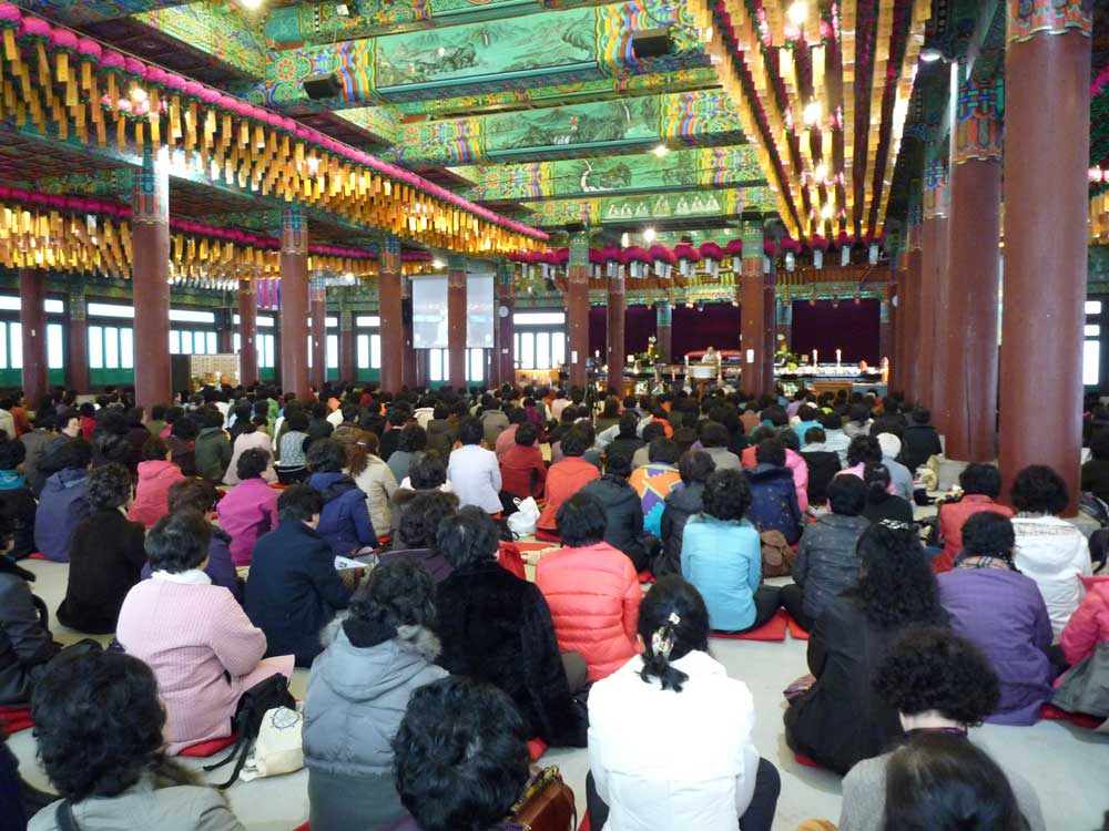 2009�� �ų��Ϸ� �� �뵵�� ��������