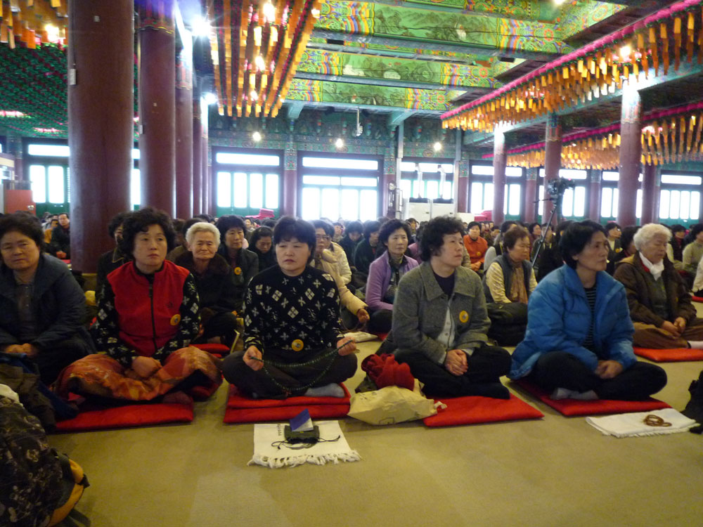 2009�� �ų��Ϸ� �� �뵵�� ��������