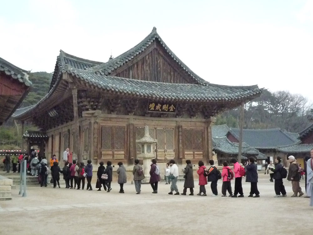 2009�� �ų��Ϸ� �� �뵵�� ��������