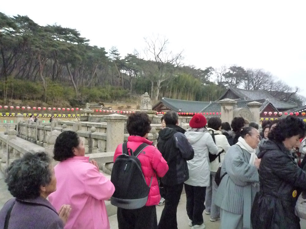 2009�� �ų��Ϸ� �� �뵵�� ��������