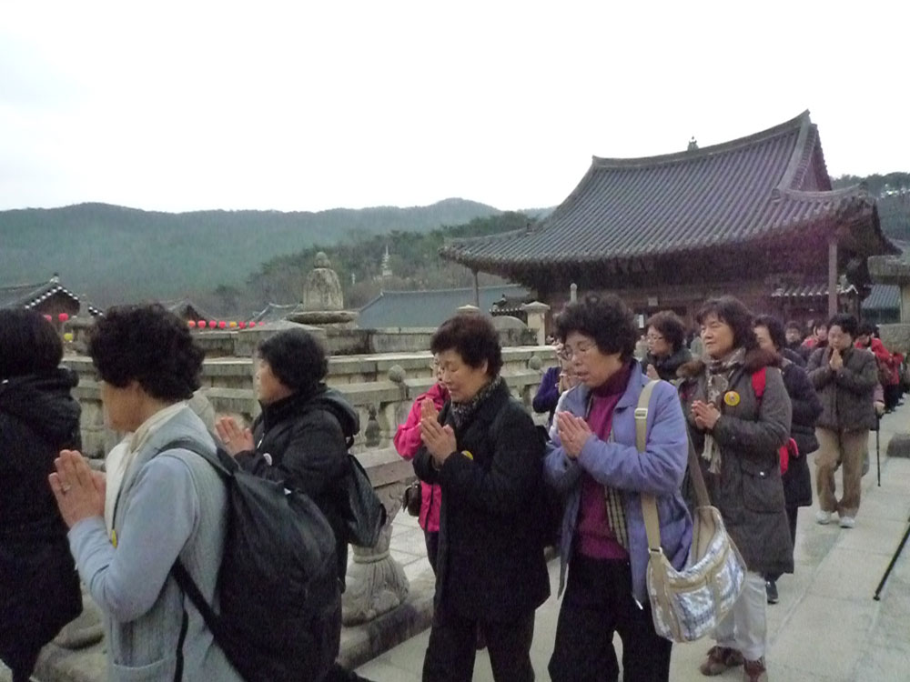 2009�� �ų��Ϸ� �� �뵵�� ��������