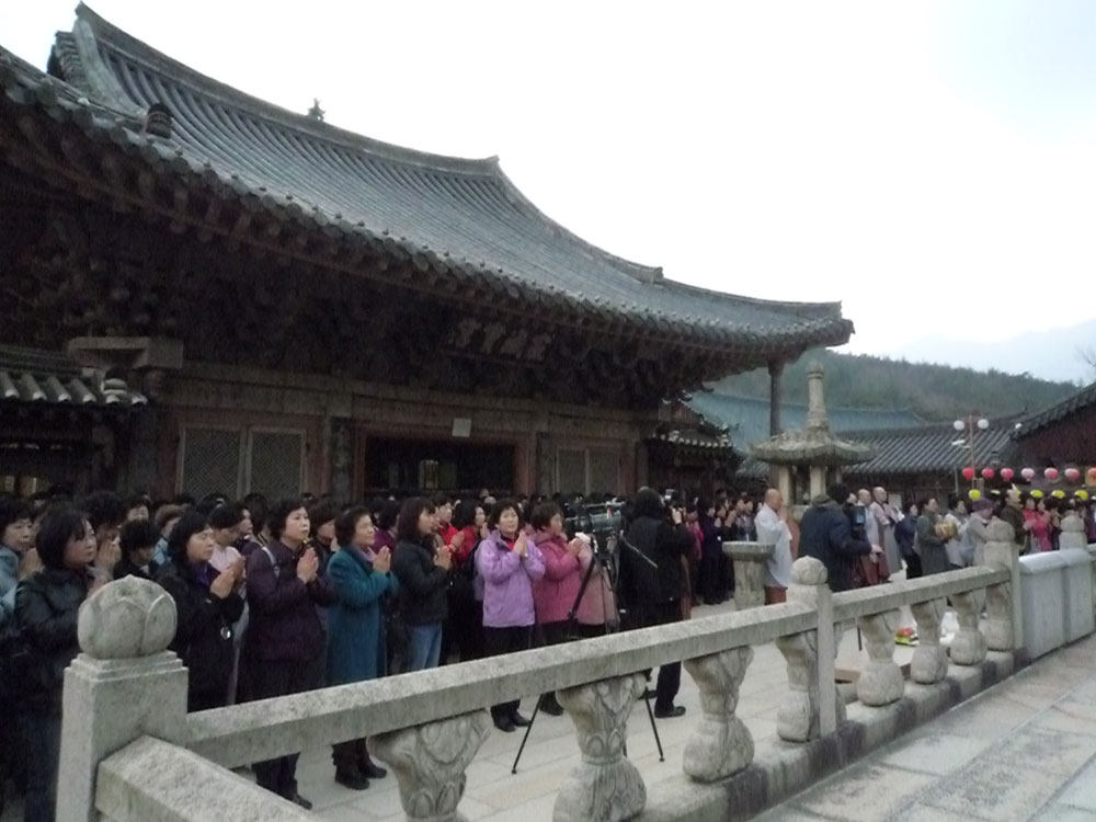 2009�� �ų��Ϸ� �� �뵵�� ��������