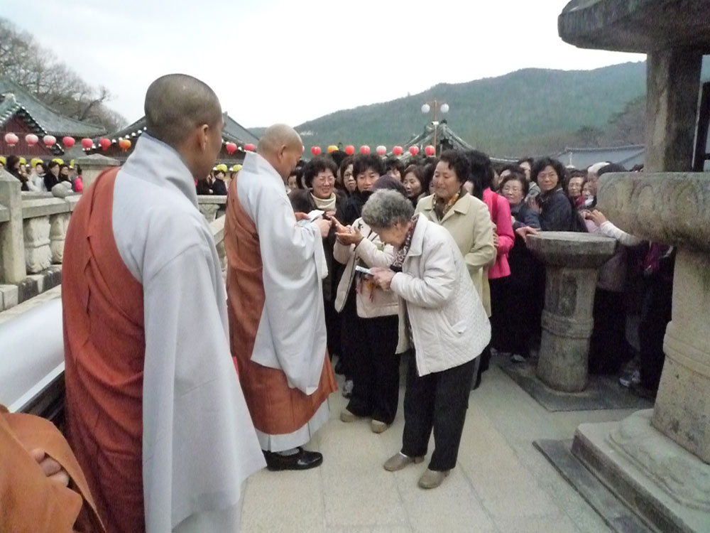 2009�� �ų��Ϸ� �� �뵵�� ��������