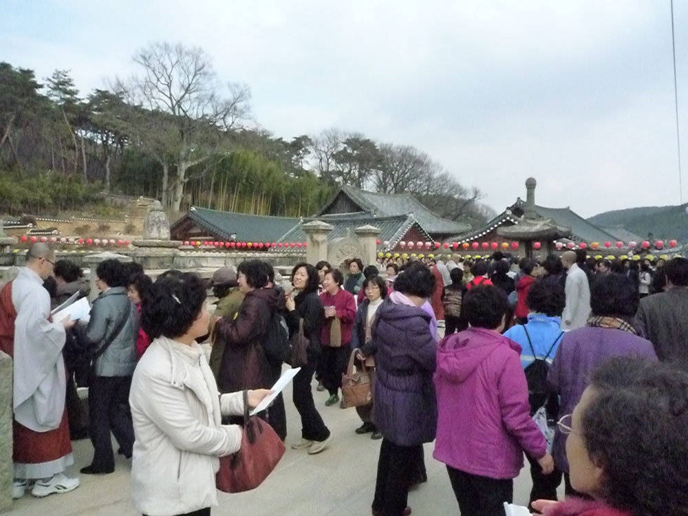 2009�� �ų��Ϸ� �� �뵵�� ��������