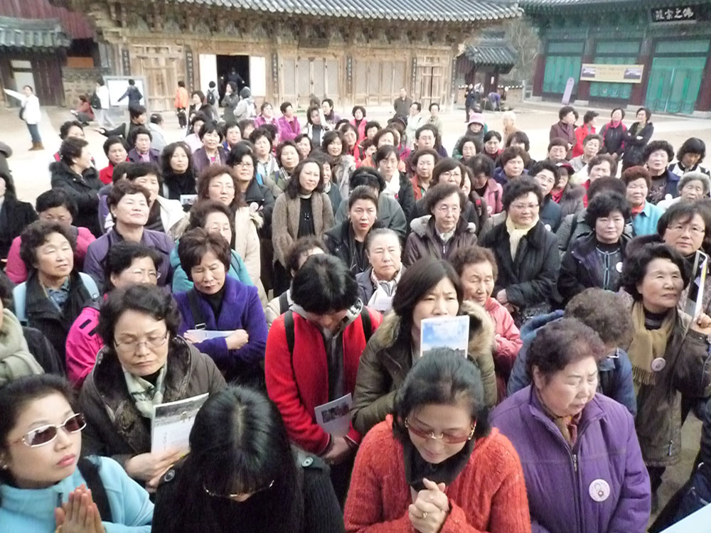 2009�� �ų��Ϸ� �� �뵵�� ��������