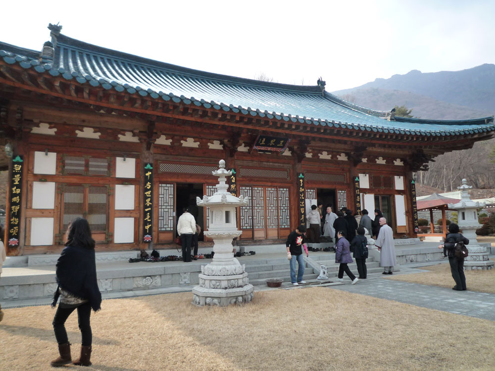 2009�� �ų��Ϸ� �� �뵵�� ��������