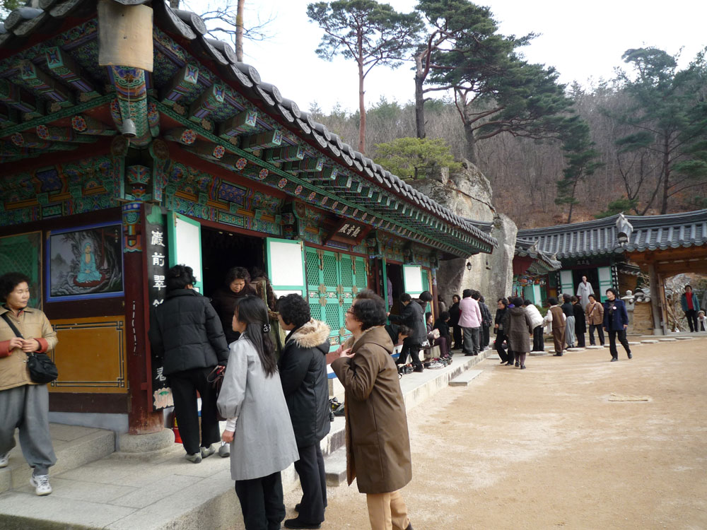 2009�� �ų��Ϸ� �� �뵵�� ��������