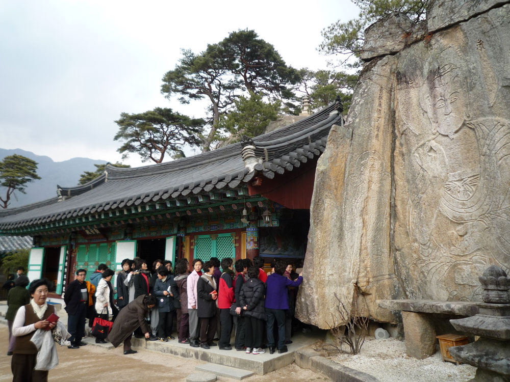 2009�� �ų��Ϸ� �� �뵵�� ��������