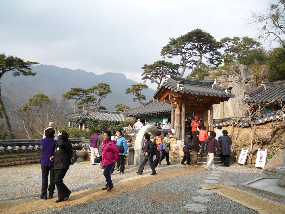 2009�� �ų��Ϸ� �� �뵵�� ��������