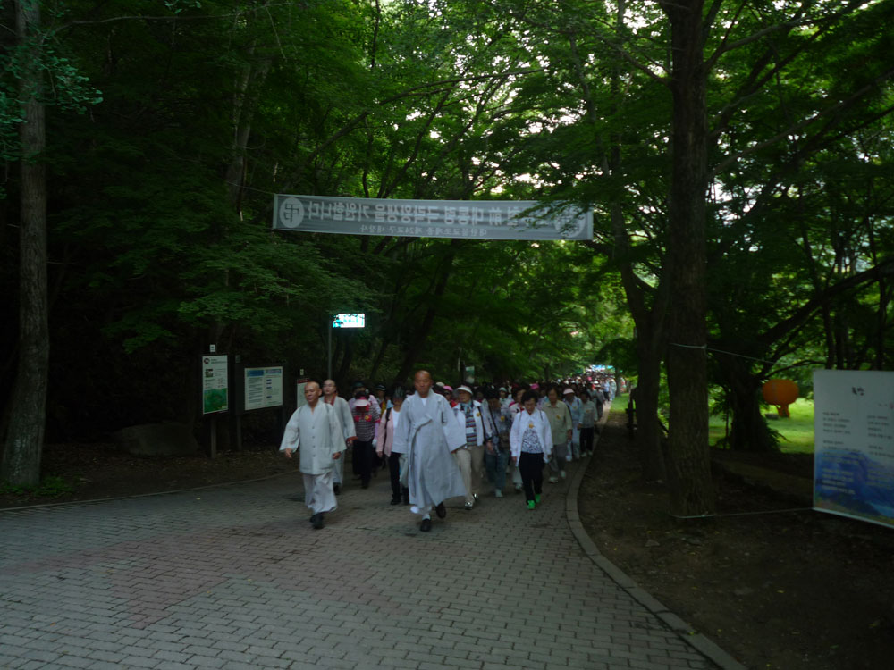 ����-�����-����� ��������