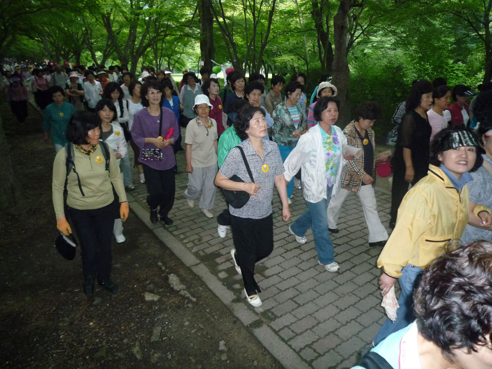 ����-�����-����� ��������