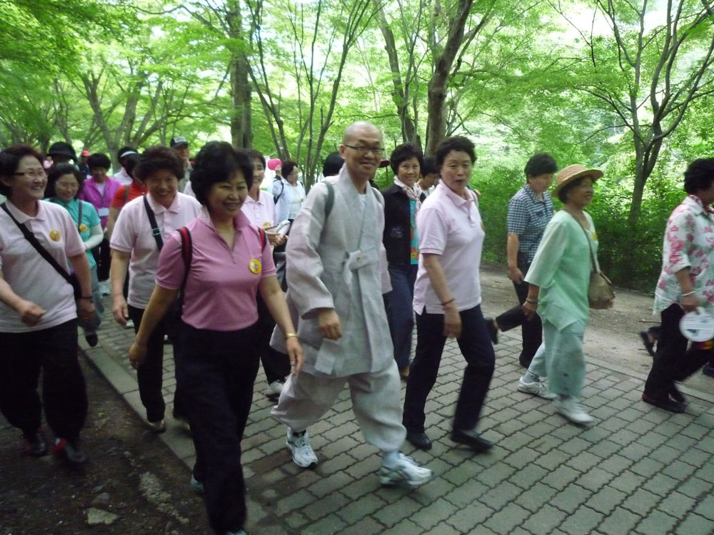 ����-�����-����� ��������