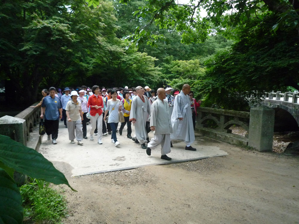 ����-�����-����� ��������