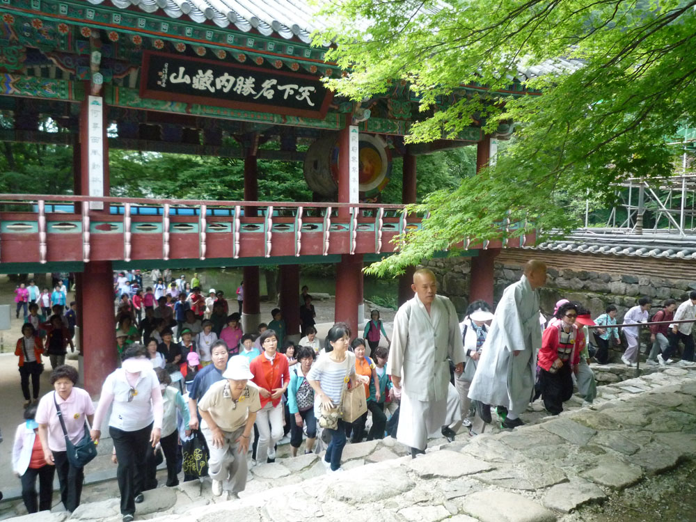 ����-�����-����� ��������