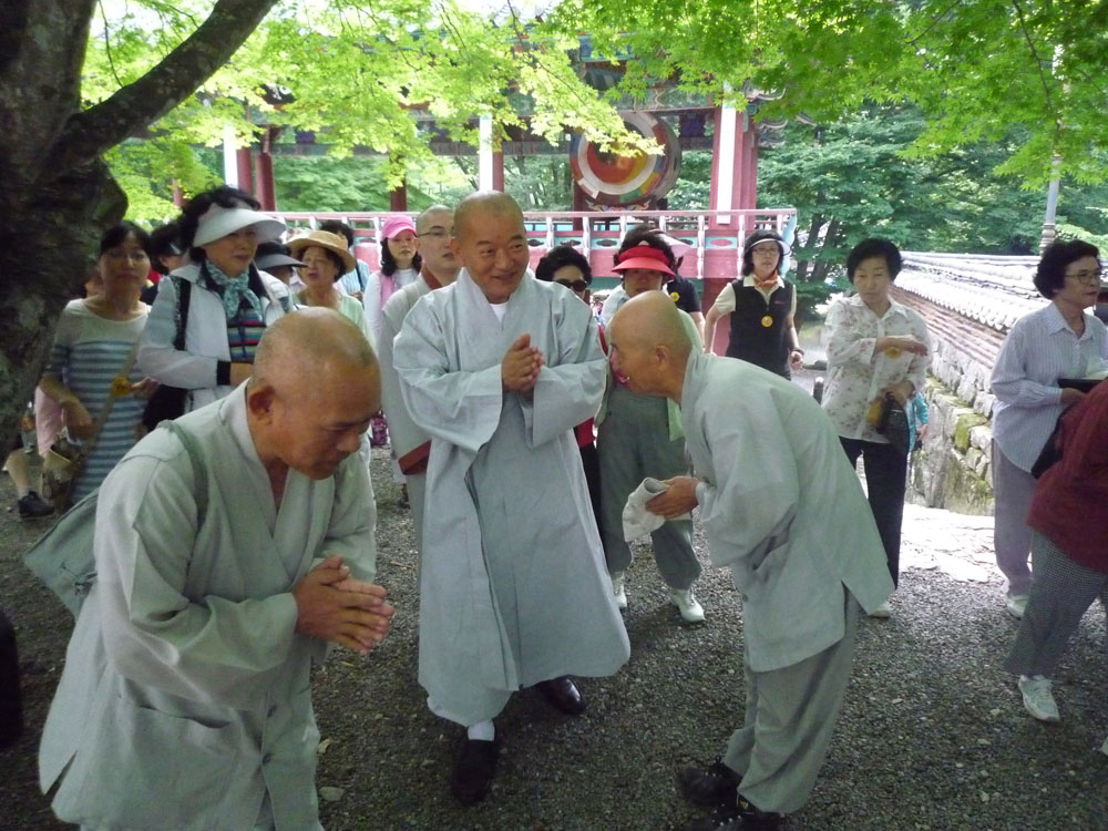 ����-�����-����� ��������