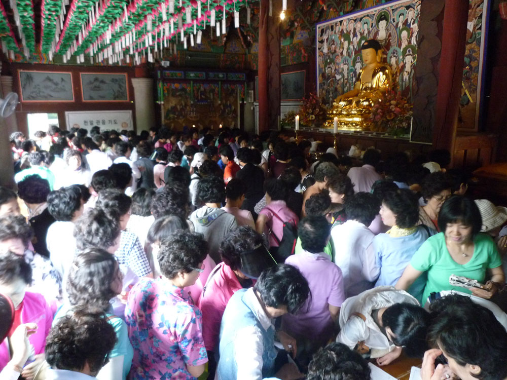 ����-�����-����� ��������