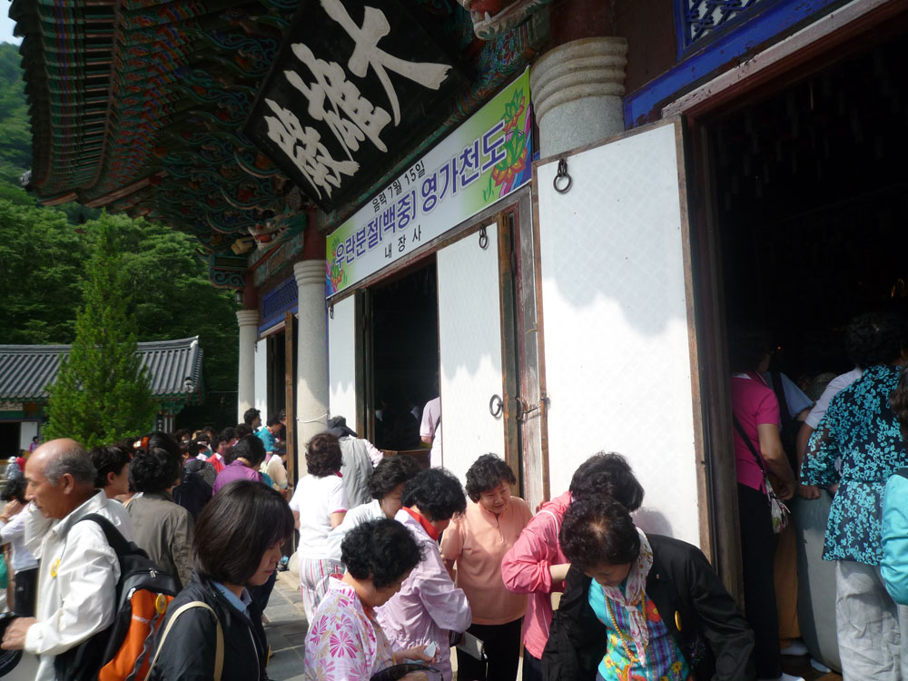 ����-�����-����� ��������