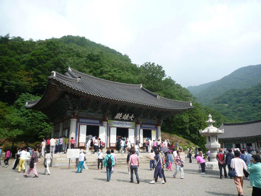 ����-�����-����� ��������