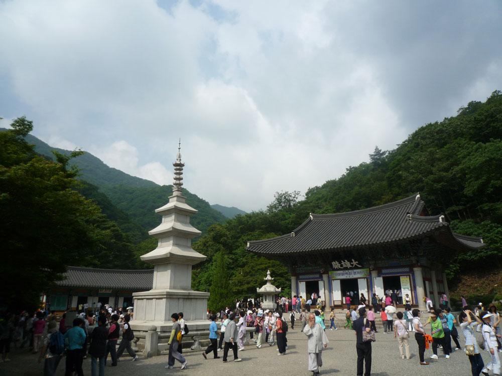 ����-�����-����� ��������