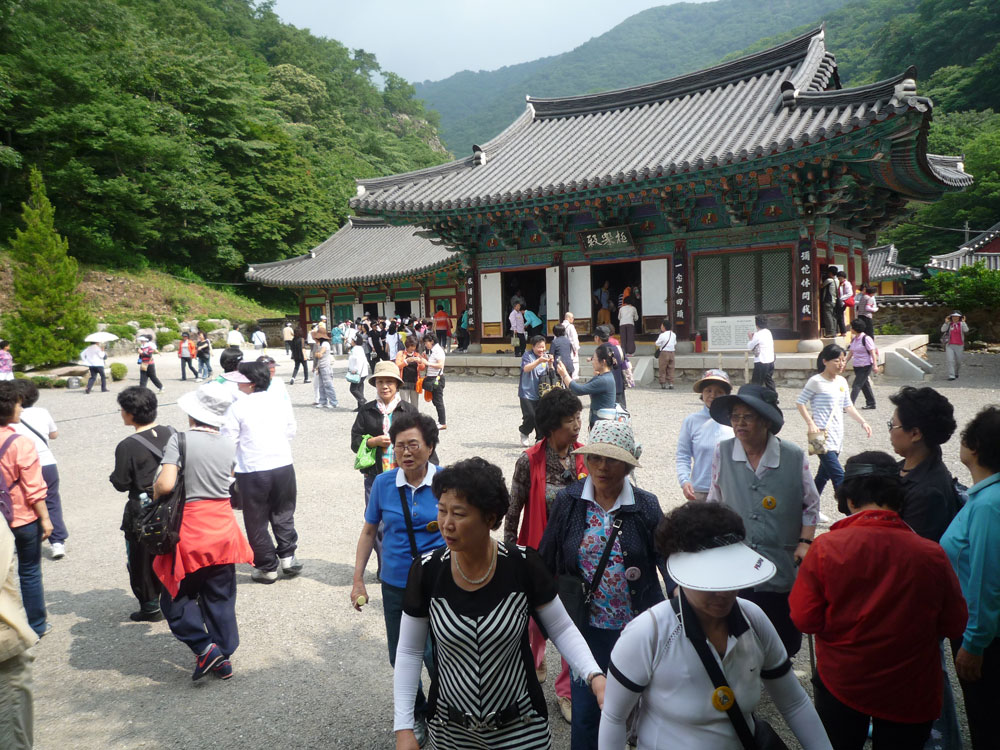 ����-�����-����� ��������