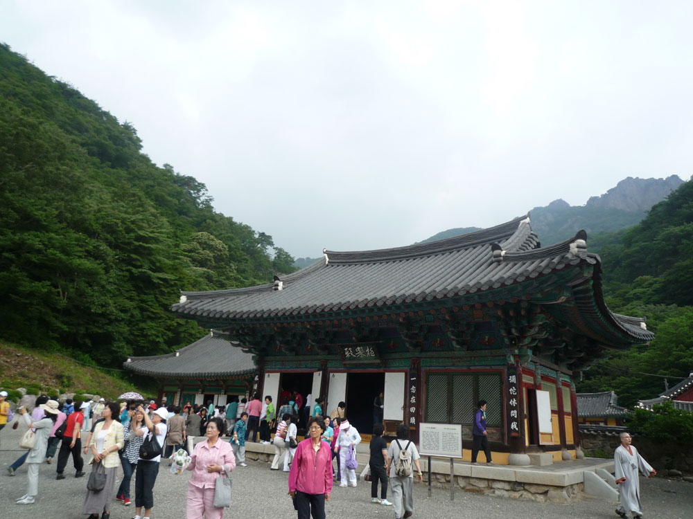 ����-�����-����� ��������