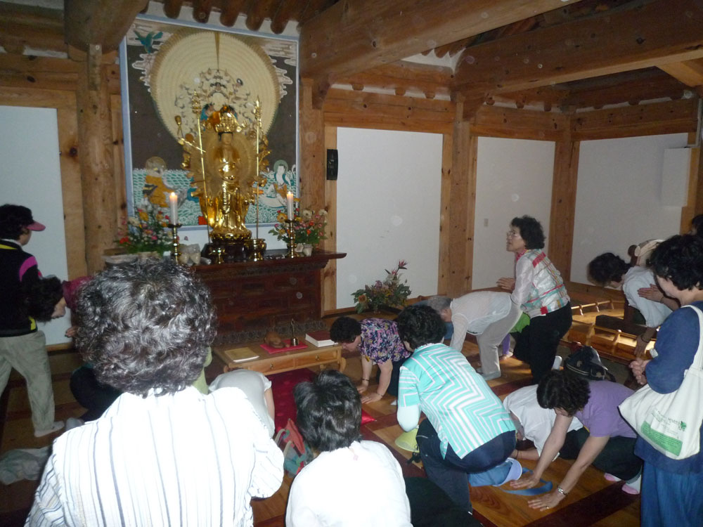 ����-�����-����� ��������