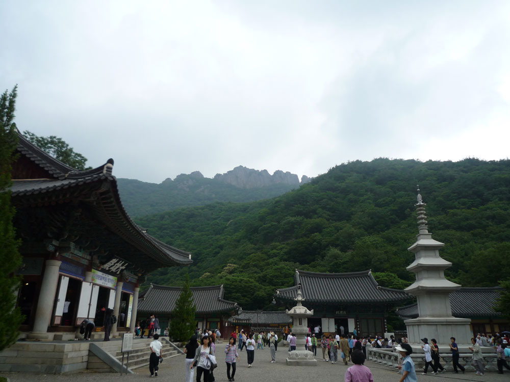 ����-�����-����� ��������