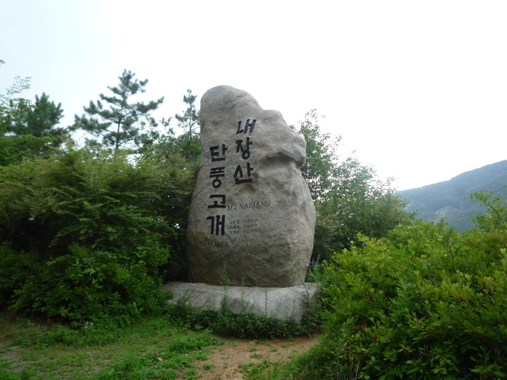 ����-�����-����� ��������