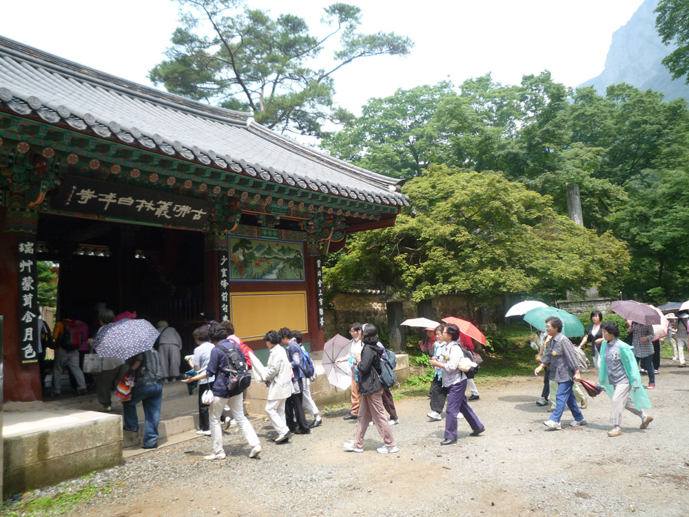 ����-�����-����� ��������