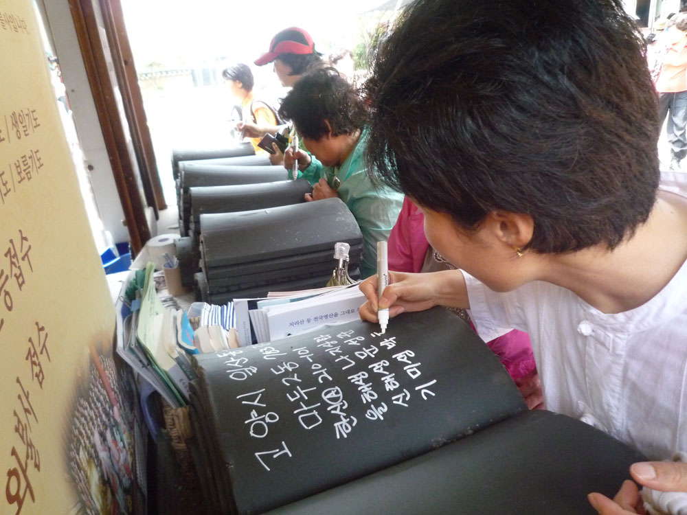 ����-�����-����� ��������