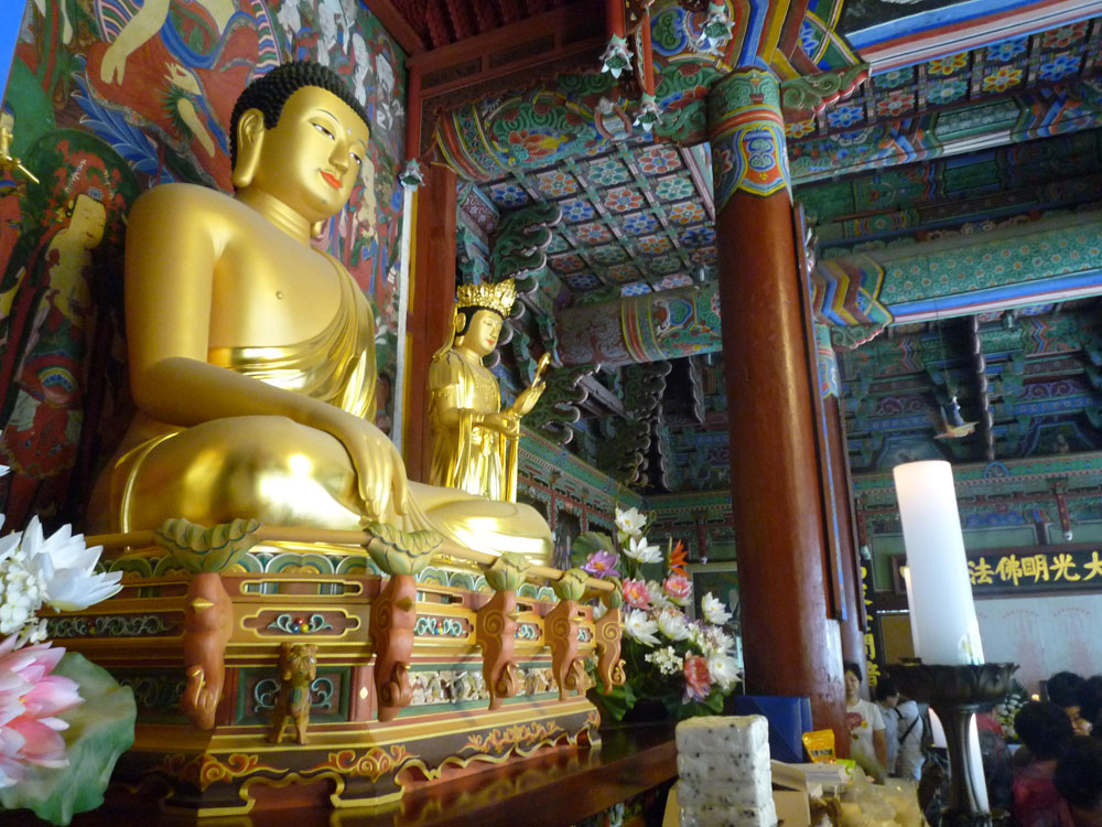 ����-�����-����� ��������