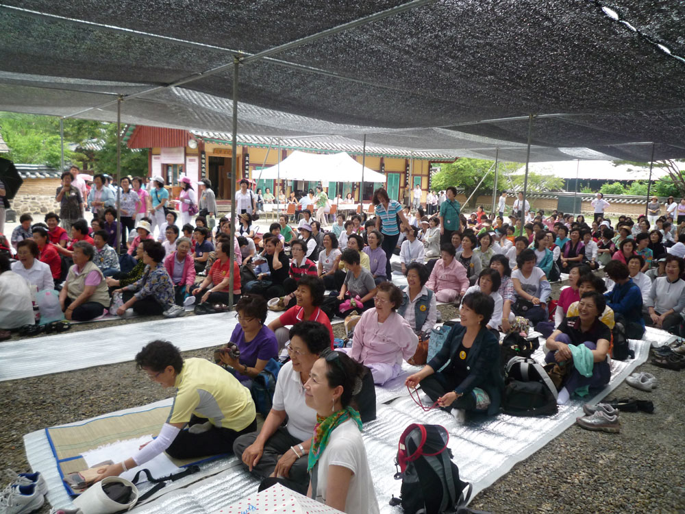 ����-�����-����� ��������