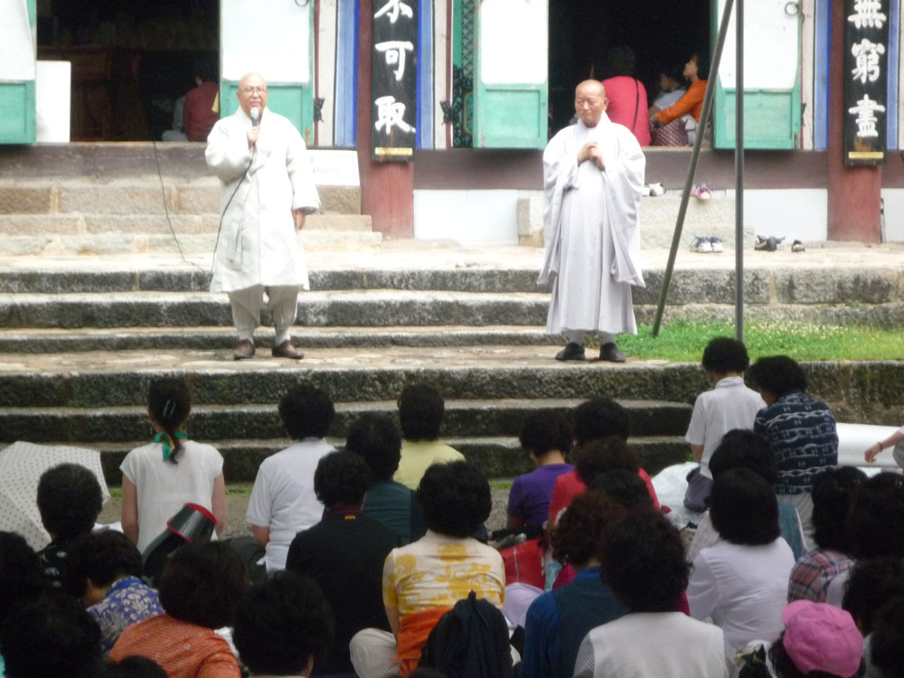 ����-�����-����� ��������