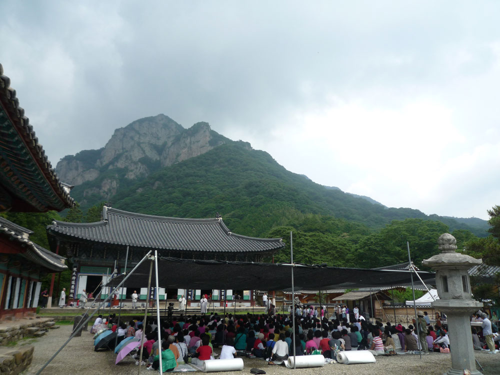 ����-�����-����� ��������