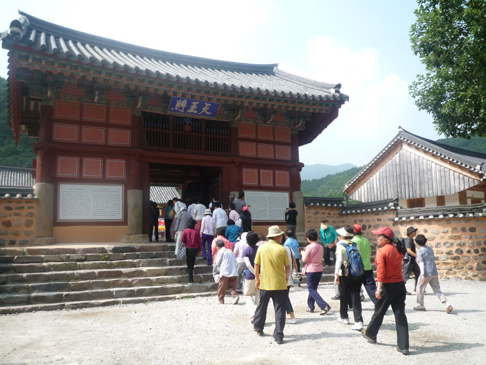 ����-�����-����� ��������