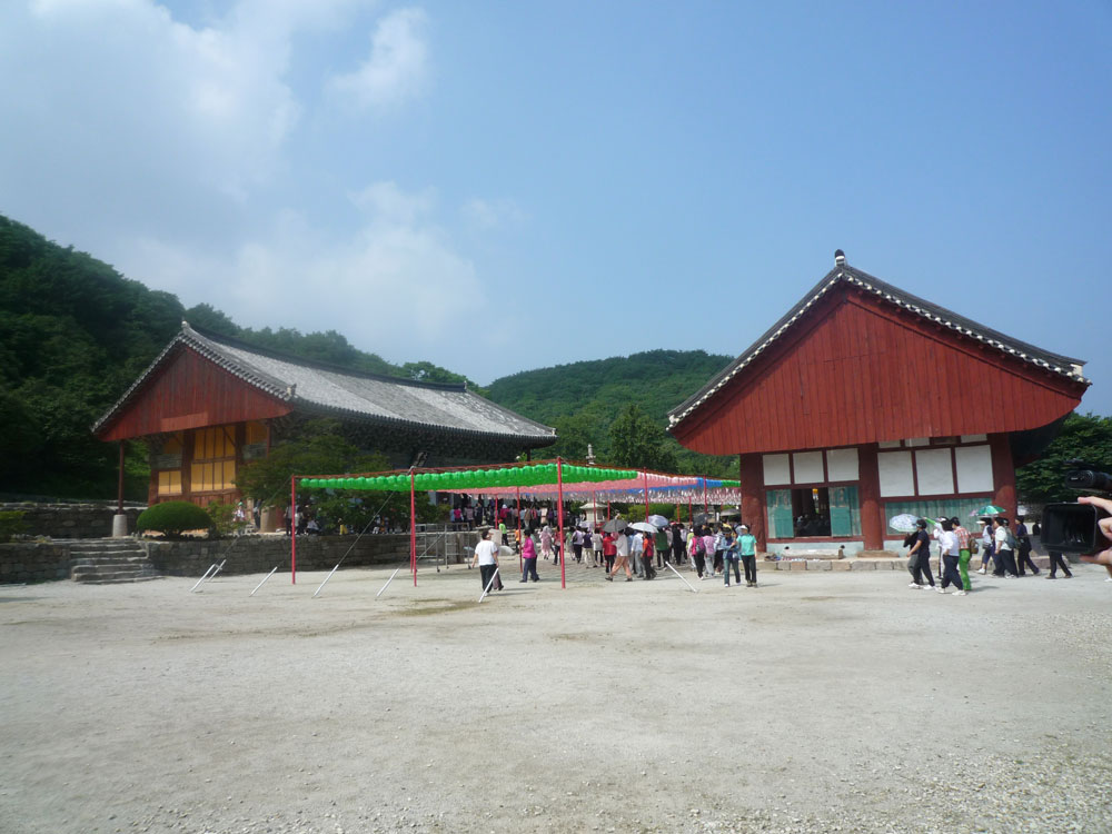 ����-�����-����� ��������