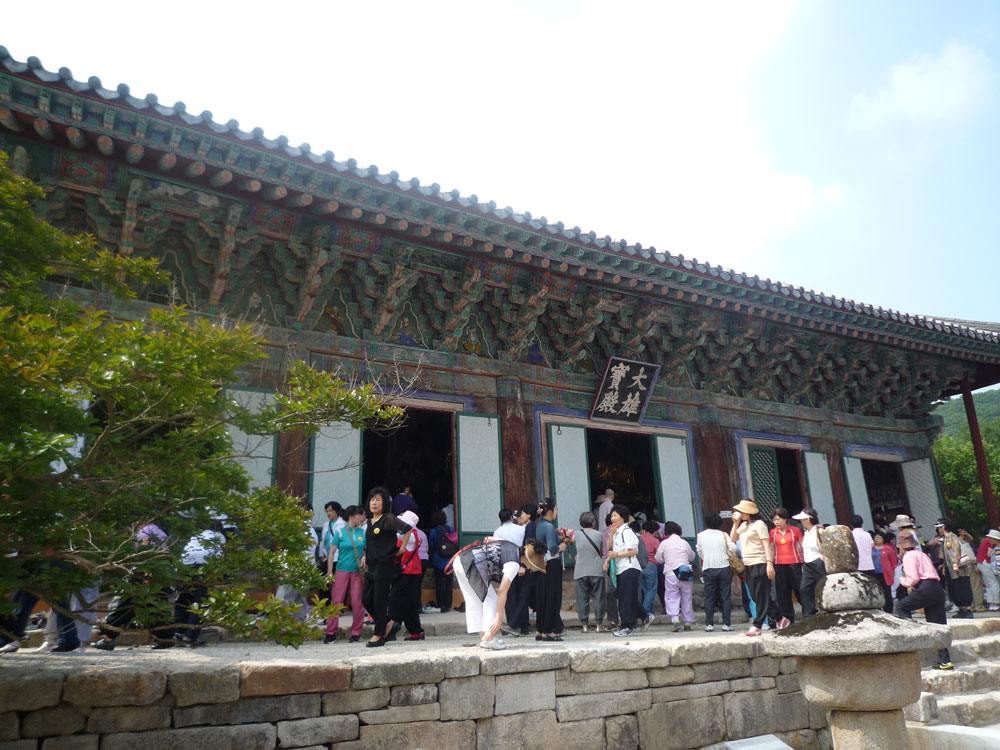 ����-�����-����� ��������