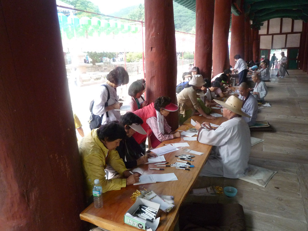 ����-�����-����� ��������