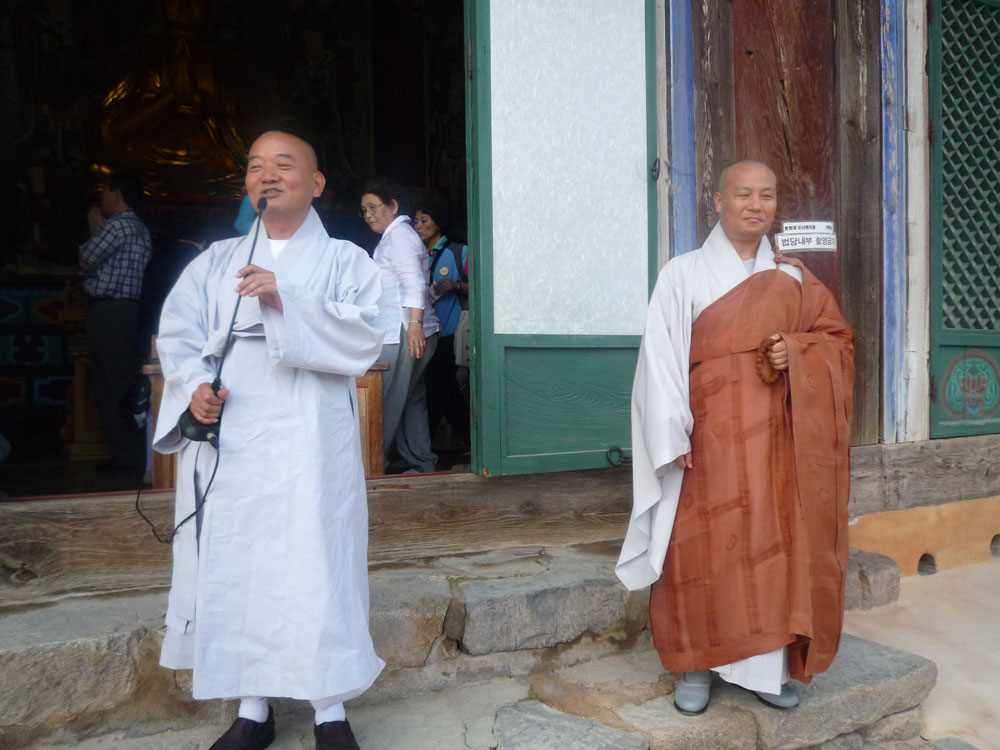 ����-�����-����� ��������