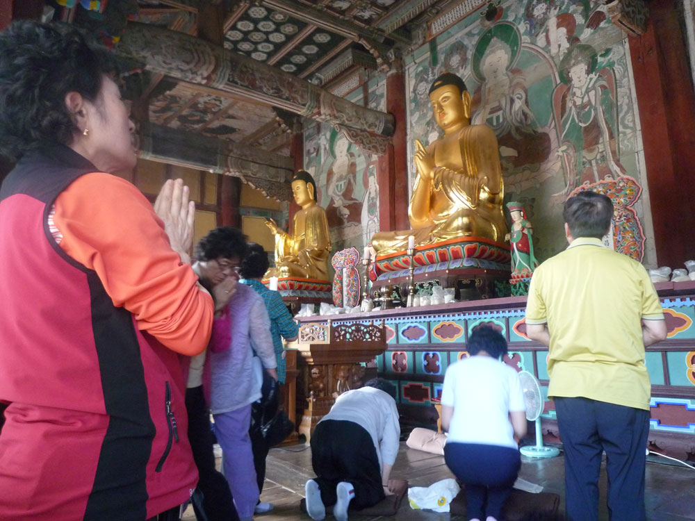 ����-�����-����� ��������