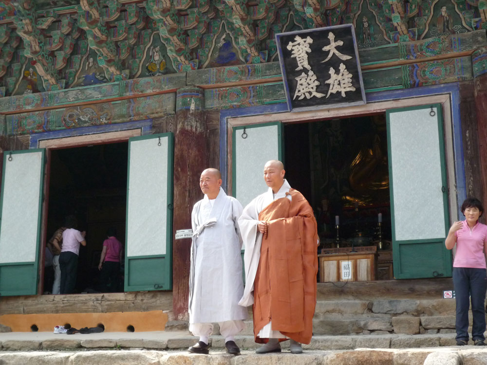 ����-�����-����� ��������